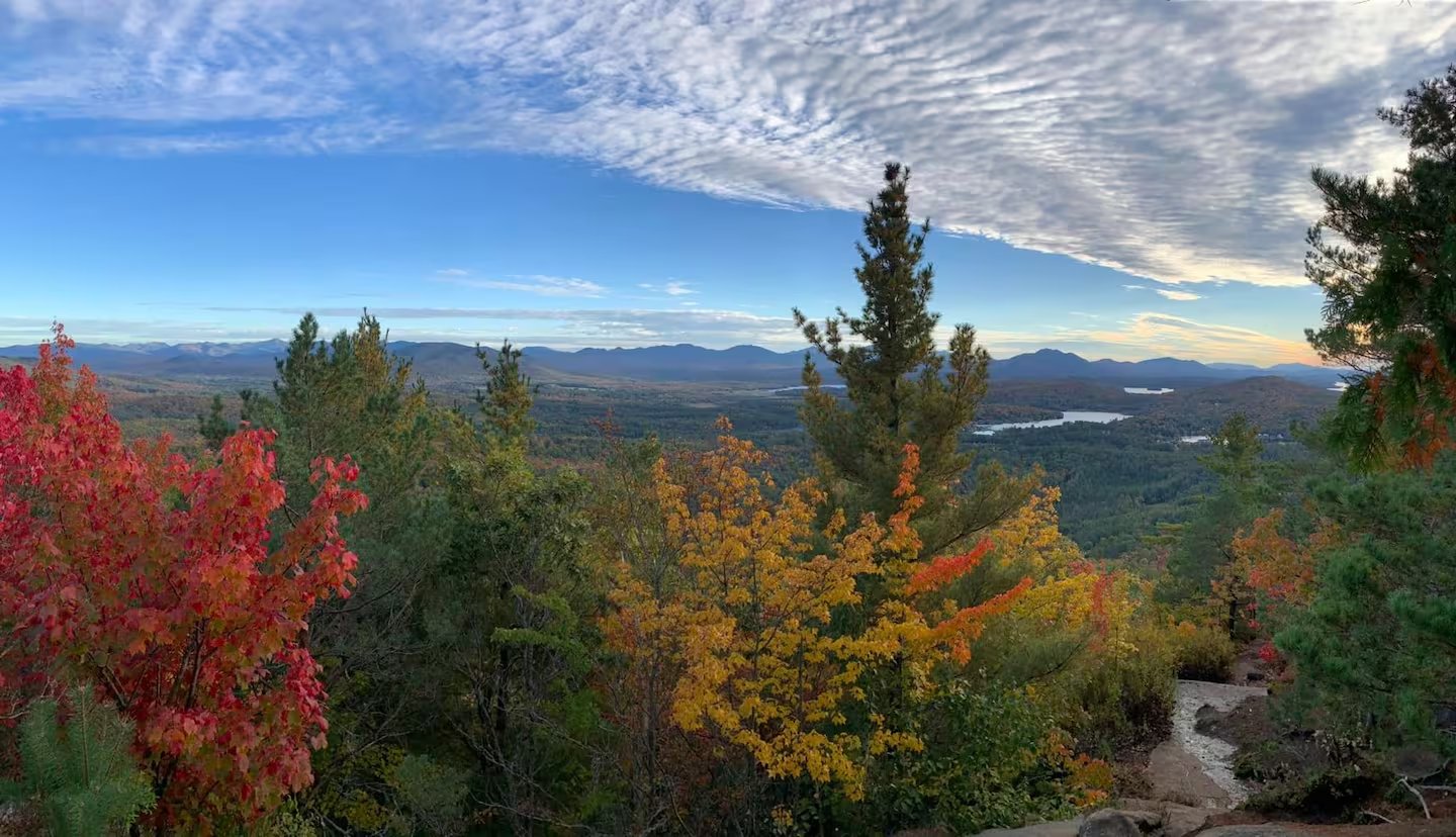 Adirondacks — foliage yellow